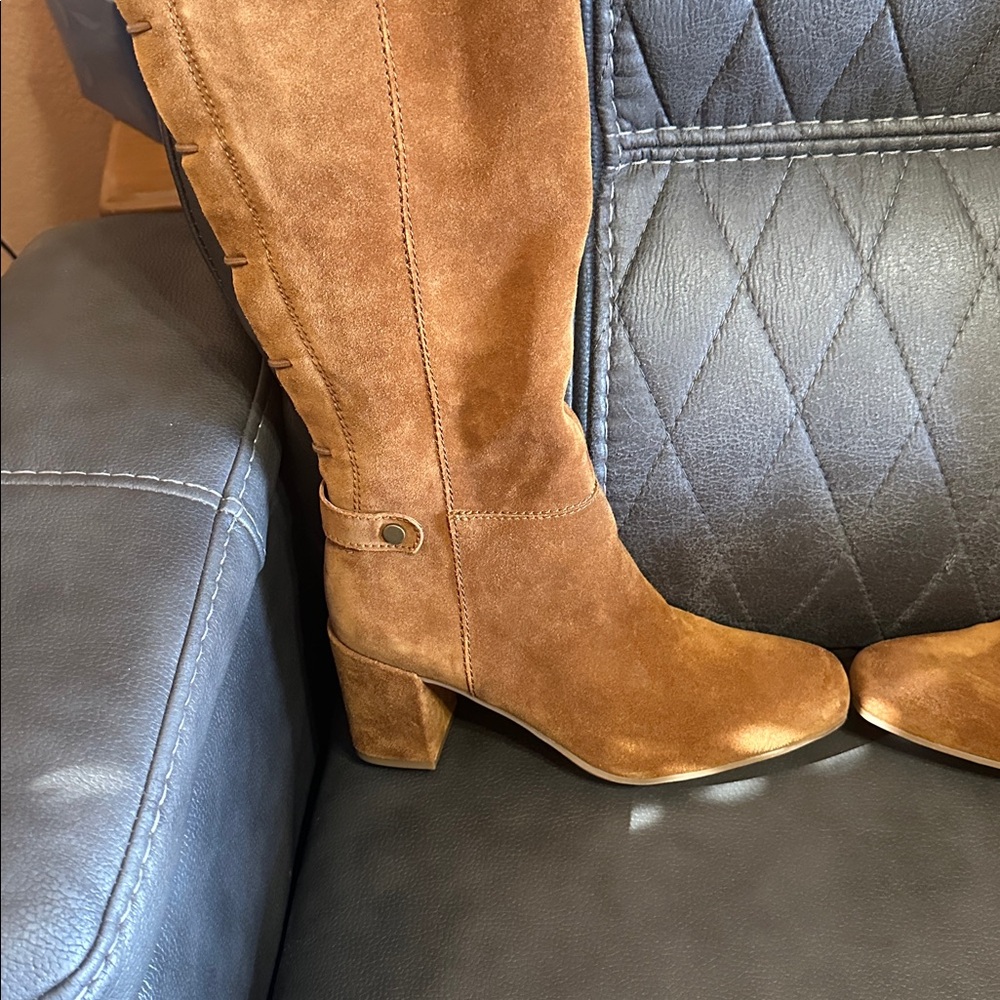 Franko Sarto Elegant Tan Suede Knee-High Boots - Picture 2 of 9